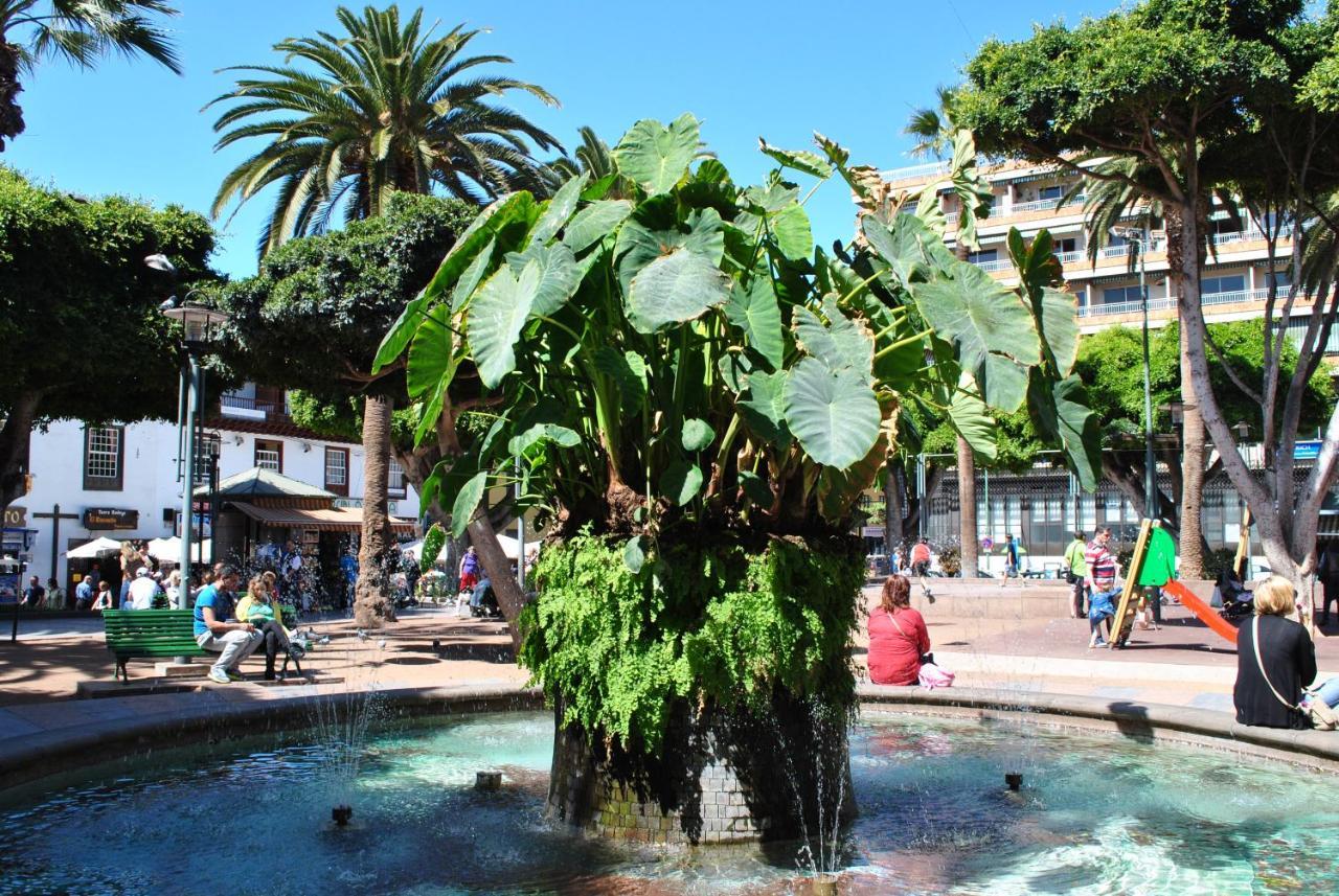 Durazno Tropical Apartment Puerto De La Cruz Puerto de la Cruz (Tenerife) Exterior foto